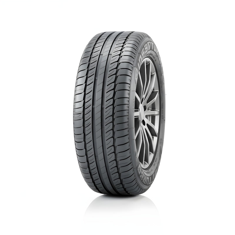 INSA ECO ECOEVOLUTION PLUS