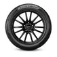 reifen-141262225-50x17-pirel-powergy-98v-xl